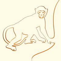 3D line art monkey animal illustration, vector illustration