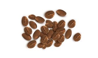 Realistic coffee beans, vector illustration