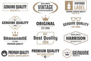 Vintage Retro Vector Logo para banner