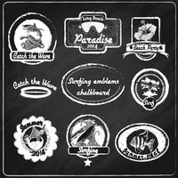 Surfing emblems chalkboard vector