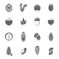 Set of nuts icons vector