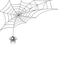 Fondo de pantalla de tela de araña vector