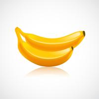 Banana fruit icon vector