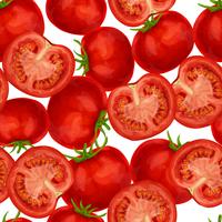 Tomato seamless pattern vector