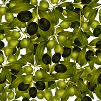 Olives seamless pattern vector