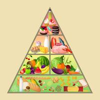 Food pyramid concept vector