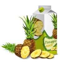 Juice pack pineapple vector