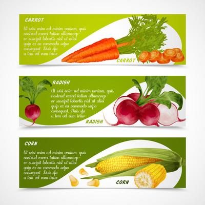 Corn radish carrot banners