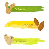 Conjunto de banners de nueces vector