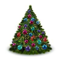 Christmas tree isolated vector