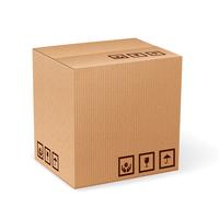 Carton box isolated vector