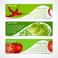 Banners de verduras horizontales vector