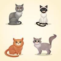 Cat set isolated vector