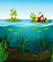 Two happy frogs and tadpoles in the pond vector