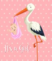 Stork baby with baby girl on pink background vector