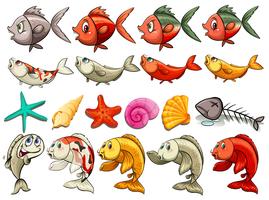 Sea 	creatures vector
