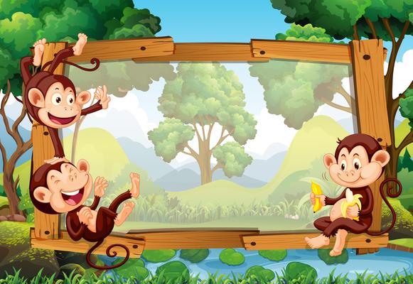 Frame design with monkeys in forest