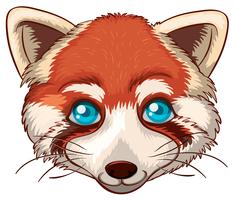 Red fox vector