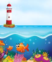 fishes and coral in sea vector