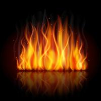 Burning flame background vector