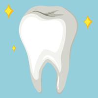 Single human tooth on blue background vector