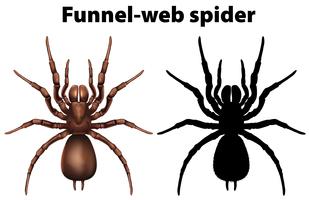 Embudo web de araña en silueta y color. vector