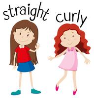 Opposite wordcard for straight and curly vector