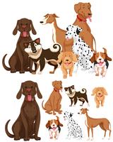 Muchos tipos de perros vector