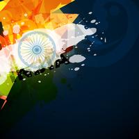 abstract indian flag vector