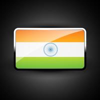 icono de la bandera india vector