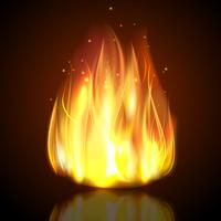 Fire On Dark Background vector