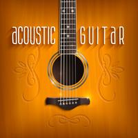 Acoustic Guitar Background vector