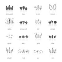 Seed Icon Set vector