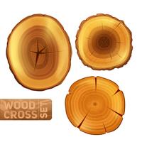 Wood Cross Section Set vector