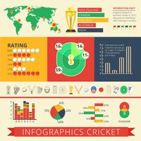 Informe de infografías de cartel de cricket. vector