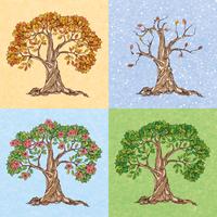 Four seasons tree vector