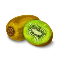 Kiwi aislado cartel o emblema vector