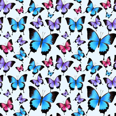 Butterfly Background Vector Art, Icons, and Graphics for Free Download