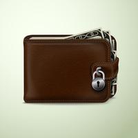 Wallet locked with padlock vector