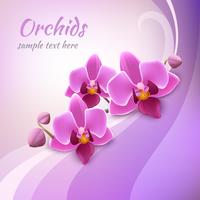 Orchid background template vector