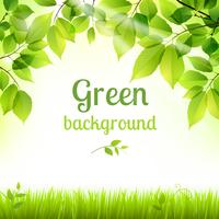 Natural green fresh foliage background vector