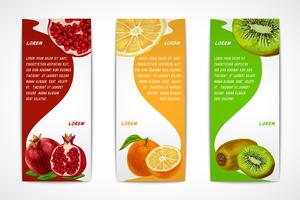 Conjunto de banner vertical de frutas tropicales vector