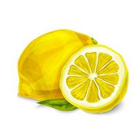Lemon isolated poster or emblem vector