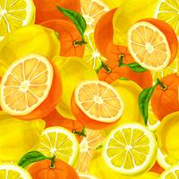 Citrus fruits seamless background vector