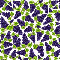 Seamless grapes fruit pattern vector