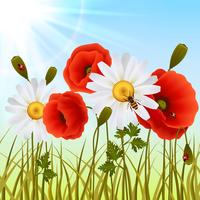 Poppy grass seamless wallpaper vector