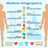 Infografía médica plana vector