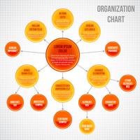 Organizational chart infographic vector