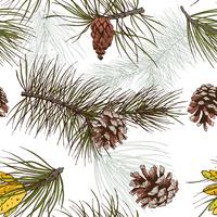 Pine branches colored seamless pattern vector