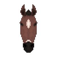 Horse head in pixel art style. vector